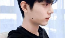 博肖娱乐圈爆料,明星幕后故事大揭秘